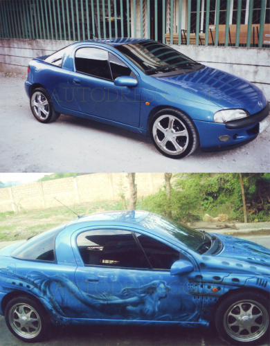 AutoDressCode Exterior Job 16