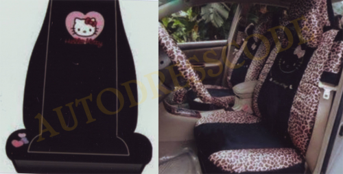 AutoDressCode Interior Job 2